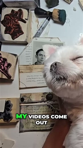 Free Junk Journal Newsletter + Weekly Content Schedule #shorts