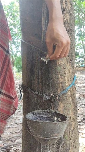 Rubbart shorts#shortvideo #nature #shortsviral #reels #wood #satisfying