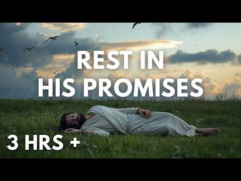 Bible Verses for Everyday Encouragement