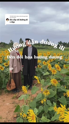 Hướng Dẫn Đường Đi Đến Vườn Hoa Hướng Dương Quảng Ngãi