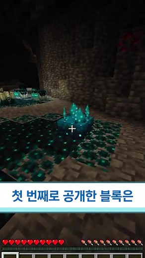 스컬크블록과 엑스파일의 신비