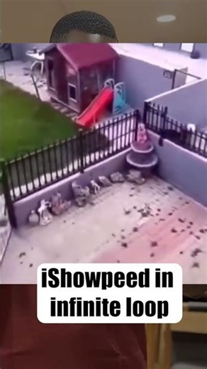 Ataasa! Infinite loop #duet #iqtest #automobile #smart #dog #funny #genius #chase #safety #speed