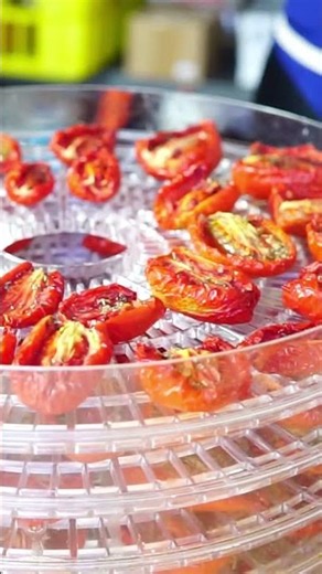 How to make homemade sun-dried tomatoes, the trick!