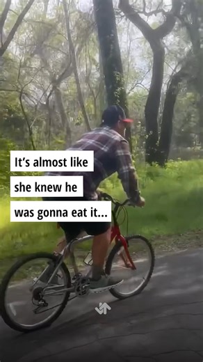 We almost feel bad for laughing... almost #fails #funny #viral | Graveyard Shift