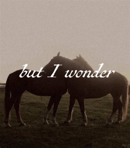 Exploring Ethel Cain's 'Concrete': Lyrics and Themes