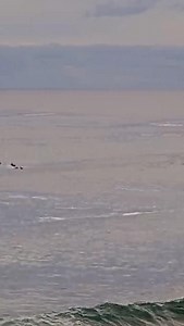 @spencerfrost enjoying his time at home 🏠 Check the @surfline app for your local forecast and time your session with Smart Cam insights available on Surfline Premium | Surfline.AU