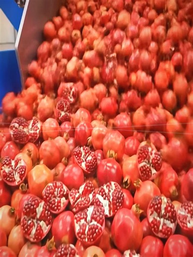 The Modern Pomegranate Factory: From Farm to Drink