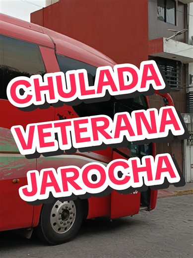 Una chulada veterana jarocha que me trae buenos recuerdos. . . . . #fypシ゚ #veracruz #nikkodemo #busologia #irizar