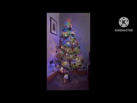 Watch This Magical Christmas Tree Light Show