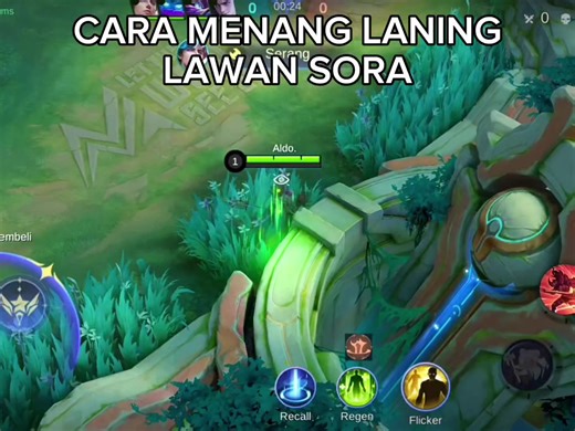 Hilda vs Sora: TikTok Showdown