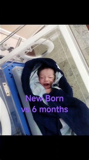 you won’t believe this 6 months transformation 🥺❤️ #cutebaby #babygrowth #youtubeshorts #shorts