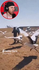 10 Oddly Satisfying Videos That Will Calm Your Mind
