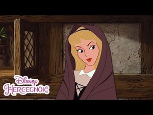 Szülinapi előkészületek | Csipkerózsika | Disney Hercegnők