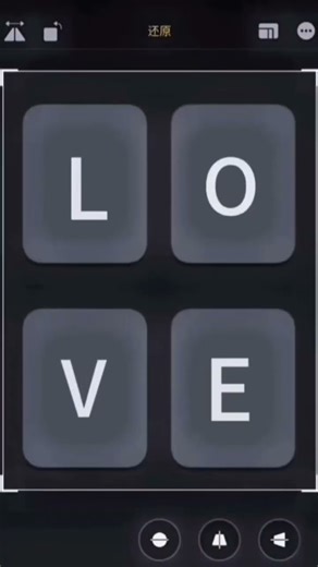 Little Moments, Big Memories 🐾💛 | Rottweiler Puppies Photo Reel