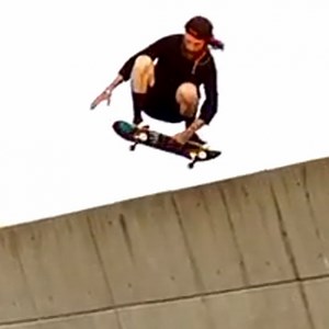 The Lizard King Signature Shredder