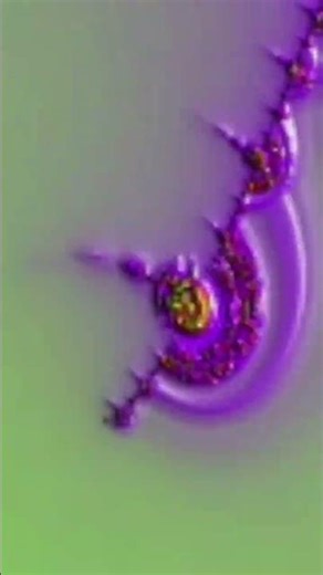 banana fractal / perpendicular mandelbrot simonbroid zoom