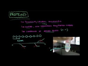 Proteins: General features - Biology tutorial