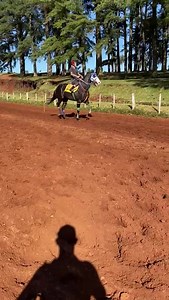 387K views · 8K reactions | En vareo  DOCTORADO  Listo para su compromiso del domingo 6 el pupilo del entrenador Maxi Insaurralde, representará al Stud Don Nicéforo de Alem y correrá con Nicole y Lake Paradise el Sensacional Clásico Los Mejores Potrillos del Momento en la distancia de 350 MTS. Muchos éxitos a todo su equipo y barra 卵亂 | Burreros del Sur. | Facebook