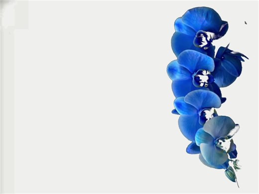 #speedsong #speedupsongs #nightcore #lyrics #fyp @speed songs | lyrics