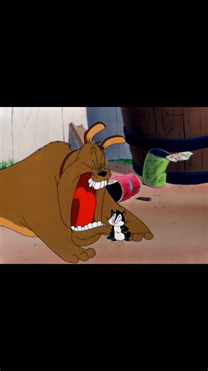 Looney Vault on Instagram: "🐶🐱 The great Marc Anthony discovers Pussyfoot. The origin story that started it all. Title: Feed The Kitty"