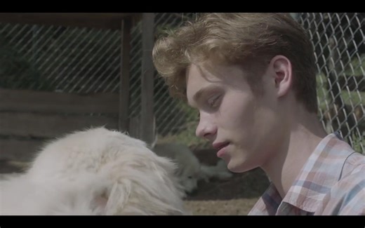 【英字/法语】【同性】法版《目击证人/目击者》（Les Innocents）Lucas & Yann部分1