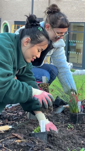 Bog Planting at Trevithick Gardens with Keep Wales Tidy