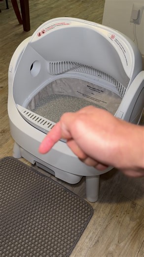 Essential Tips for Cat Owners