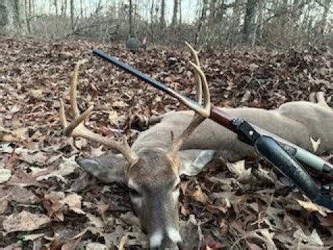 Deer season 2023, Taking two 8 pointer's with the .243