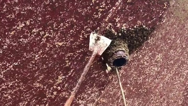 Extreme Barnacles Removal – Deep ASMR Cleaning with No Talking