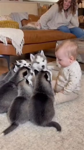 Pets Explorers on Instagram: "check out my story😱 #🎂要怎麼不經意的讓另一——半看到這篇文👀 儀式感滿滿🎁滿蛋糕小熊蠟燭旋轉禮盒🕯 噗許個願吧✨希望你的願望會實現（偷偷按下機關）有我幫你準備的小驚喜唷⚠️商品是蛋糕小熊機關盒 沒有附戒指💍禮物要自己準備唷 流行周邊好物推薦搜尋 ✨ 玩具公仔搜尋🧸 寵物周邊搜尋🔍 最新商品資訊請看限時動態精選☁️ 下單方式🛒➡️留言“1”; 小編火速回覆你下單資訊📦留言“+1”; 小編火速回覆你下單資訊可自行截圖商品私訊我‼️付款方式 台灣地區💳ATM轉帳（尚無貨到）每月文付 支付寶線上配送🌏微信、支付寶收款 國外配送約2週左右 因天氣、不可控因素可能延誤 能接受再下單📦可詢問客服配送進度。 日本利用压电瓷砖将脚步转化为电能。这些瓷砖捕捉来自你脚步的动能。当你行走时，你的重量和动作会对瓷砖产生压力。瓷砖会轻微弯曲，从而产生机械应力。瓷砖内部的压电材料将这种应力转化为电能。每一步都会产生少量电荷，而数百万步结合在一起就能产生足够的电力来驱动LED灯、数字显示屏和传感器。 在像涩谷车