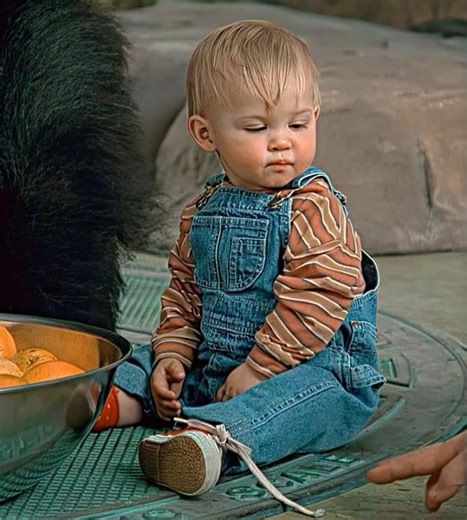 Never Mess With a Gorilla 🔥🔥 | Baby's Day Out | MATADORA - DJ Asul (slowed) #trending #shorts