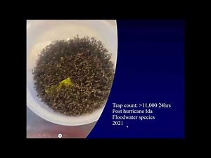 Mosquito and Rodent Control Preparedness