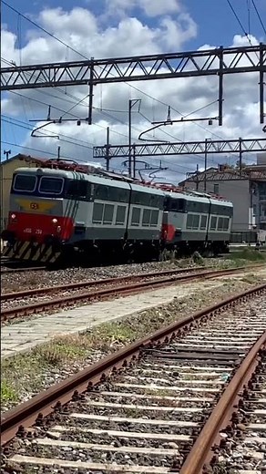 E.656.294 & E.655.530 di Fondazione FS in transito nei pressi di Livorno Centrale