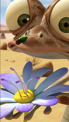 Be Cool Oscar #oscarsoasis #chill #funny