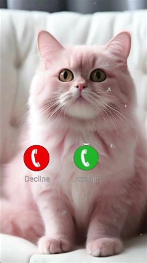 Cat Ringtone – Cute Meow Sound | Cat Meow Tone