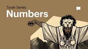 Numbers: Torah Series