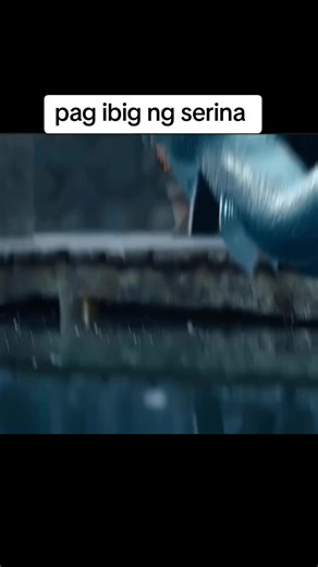 Sapatero Part 2: Pag-ibig ng Serina