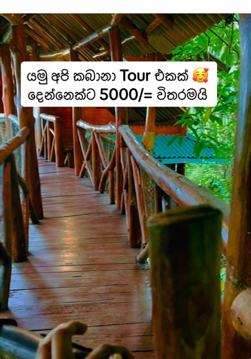 කබානා Tour එක: 5000ක් විතරමයි! 🥰