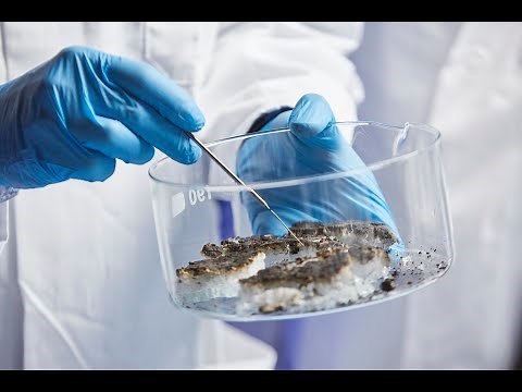 Hydrogel-based, fire-resistant glass