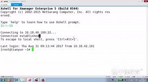 第34节 - For 实现批量主机ping探测