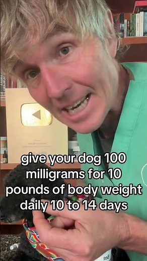 Dog cyst problem? 3 Natural Remedies to treat these at home!