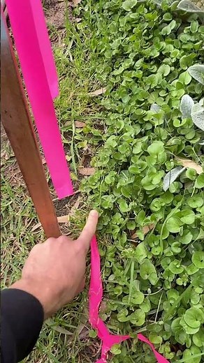 Why Site Set-Out Can Make or Break Your Build