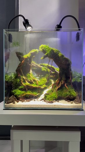 Incredible New Diorama Aquascape Aquarium Collection