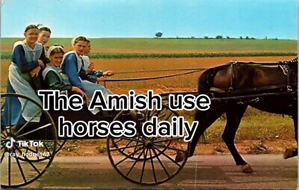#CapCut The Amish Oil Change! #sorrynotsorry #fyp