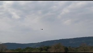 4.7K views · 16 reactions | Reinaldo Gayoso on Reels | Facebook