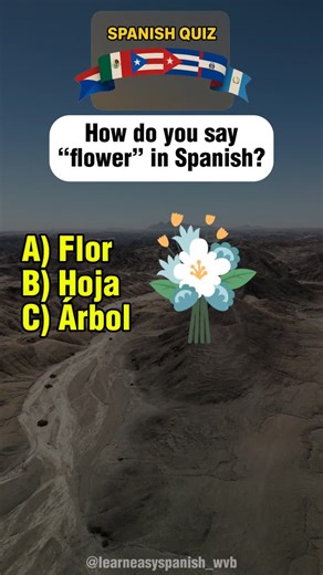 WorldVoiceBridge | Step into the garden and let your Spanish blossom! Learn how to name everything from flor (flower) to árbol (tree) and césped (grass). Each... | Instagram