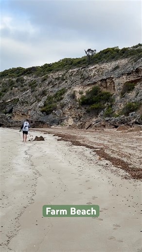 The cliffs are amazing! #cliffsedge #beaches