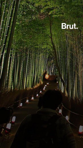 C'est une expérience visuelle et sonore unique. Marcher au milieu d'une forêt de bambous en plein cœur de la ville de Kyōto. Voici la forêt de Sagano. | Brut nature FR