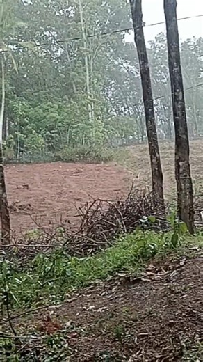 വേനൽ മഴ 💧#shortsfeed #shortvideos #yutubeshorts #rain #super #shorts #videos #vijisuji