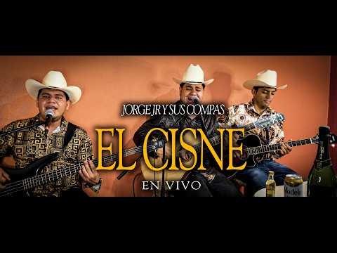 El Cisne - Jorge Jr Y Sus Compas (En Vivo)